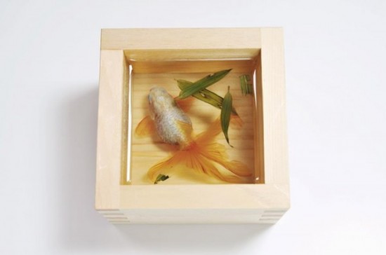 goldfish 3 600x398 550x364 Unbelievable 3D Art!