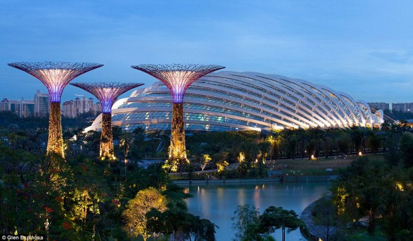 Singapore Gardens by the Bay Supertrees 02 600x350 The Mechanical Forests