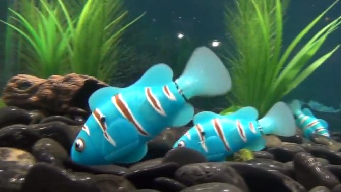 robotic pet fish