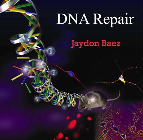 8. DNA Repair 600x587 Top 10 New Medical Technologies That Make You Live Longer