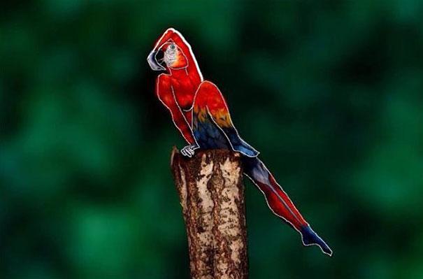parrot optical illusion body art johannes stoetter 2 Can You Believe That This Parrot is Actually a Human Being? 