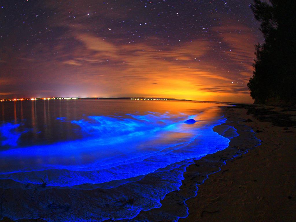 Biolumisence Nature is Incredibly Beautiful; Look at These 20 Mind Blowing Natural Weather Phenomena