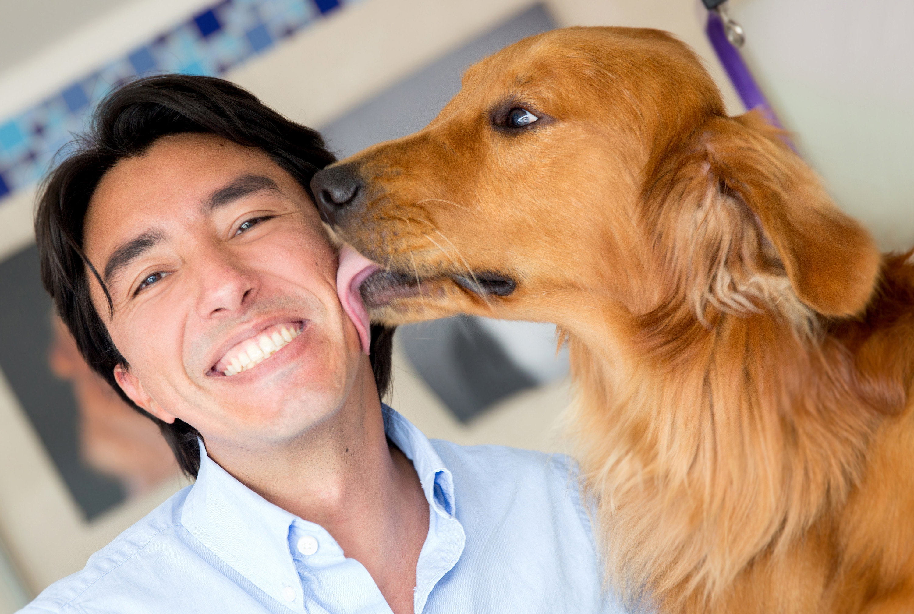 7 Crucial Things Dog Owners Can Learn From Their Dogs REALITYPOD