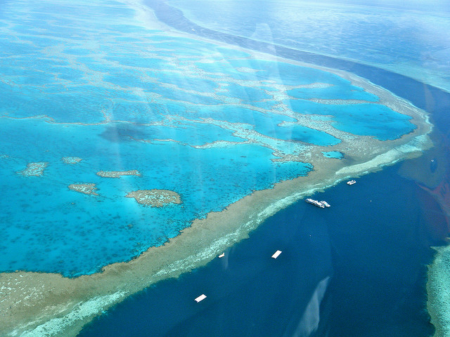 Interesting Facts About The Great Barrier Reef Realitypod