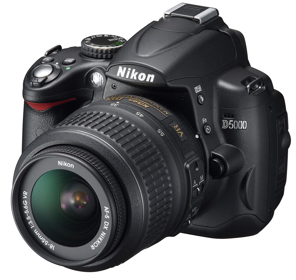 Unlocking Possibilities: Can Canon Cameras Utilize Nikon Transfer ...
