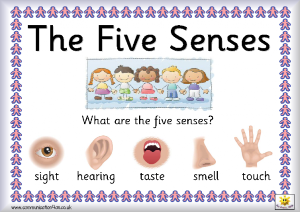 5 Senses