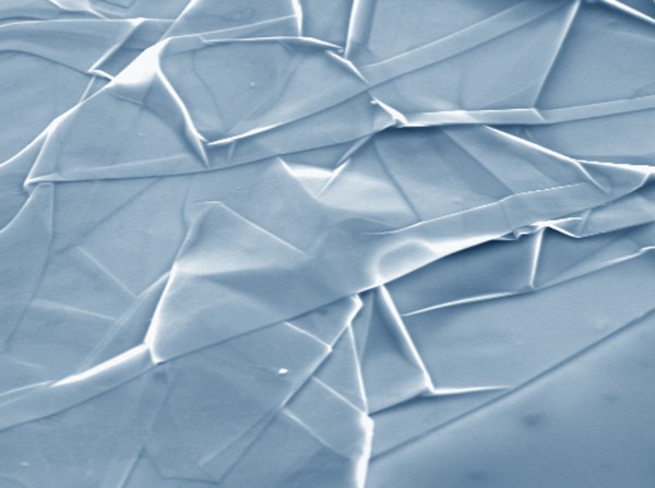 crumpled graphene flake