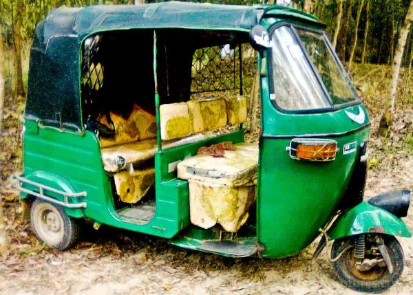 1. Custom Rickshaws (India, Bangladesh)