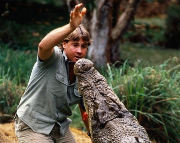 2. Steve Irwin Death Video