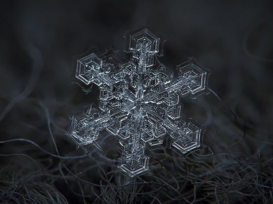 snowflake-closeup5-550x412