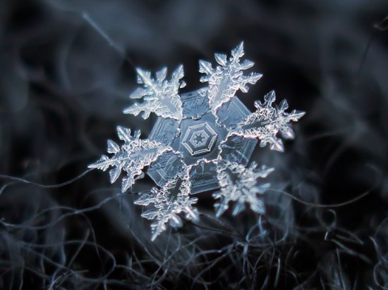 snowflake-closeup7-550x412