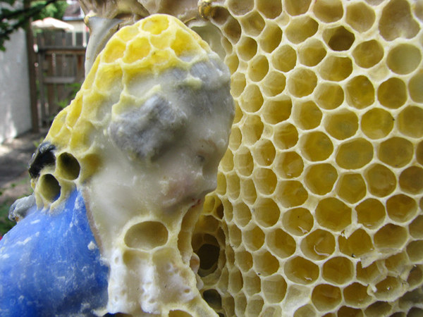 bees-sculpture6