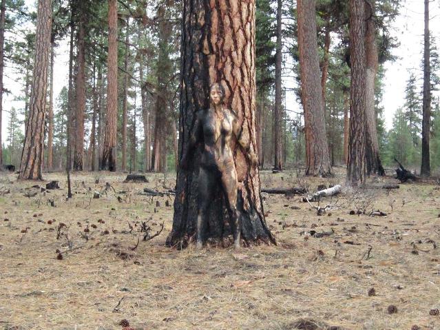 Tree-camouflage-Body-Painting-Natalie-Fletcher