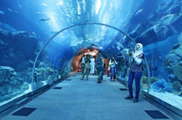 dubai aquarium tunnel