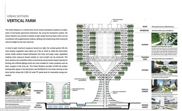 urban skyfarm 20