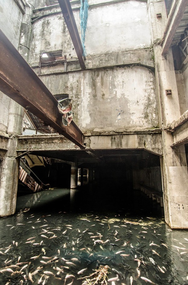 abandoned-shopping-mall-bangkok-fish-jesse-rockwell-8