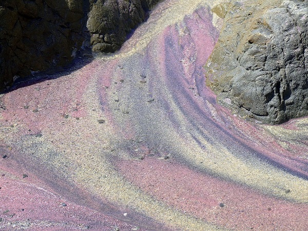 Pfeiffer Purple Sand Beach, California 1