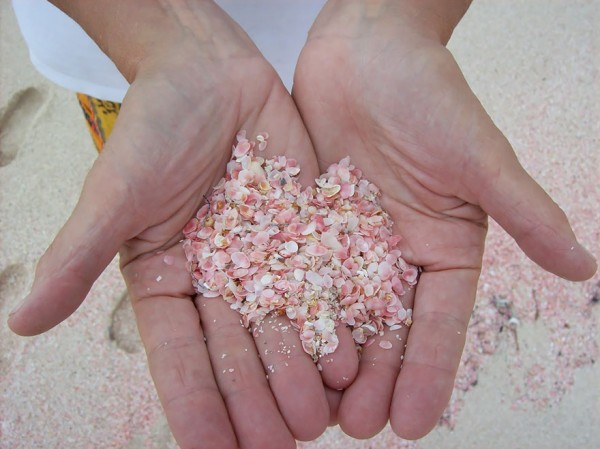 Pink Sand Beach, Bahamas 2