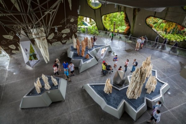 singapore-gardens-by-the-bay-supertree-cloud-forest-15