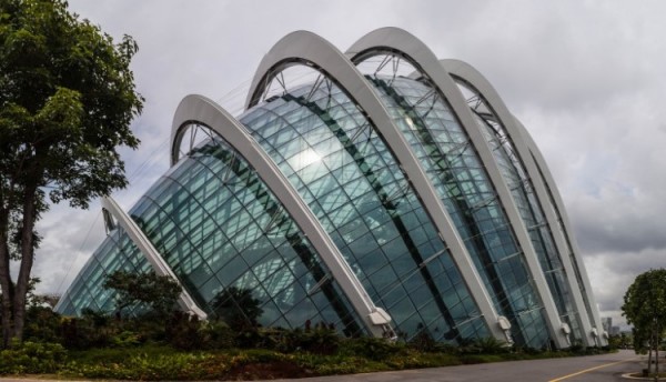 singapore-gardens-by-the-bay-supertree-cloud-forest-17