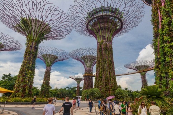 singapore-gardens-by-the-bay-supertree-cloud-forest-3