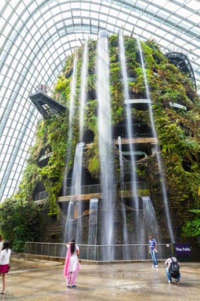 singapore-gardens-by-the-bay-supertree-cloud-forest-9