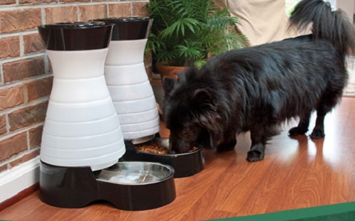 dog automatic pet feeder