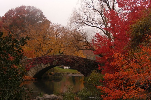 gapstow bridge 2