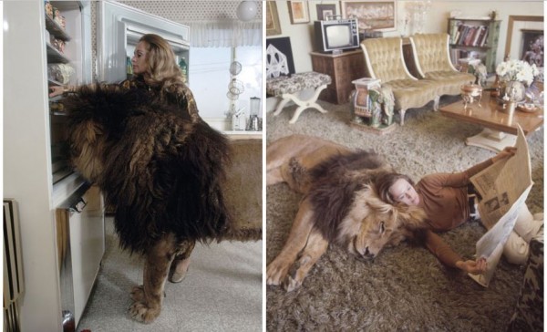 tippi hendren and lion 2