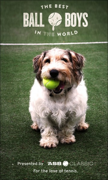 dogs in tennis 4