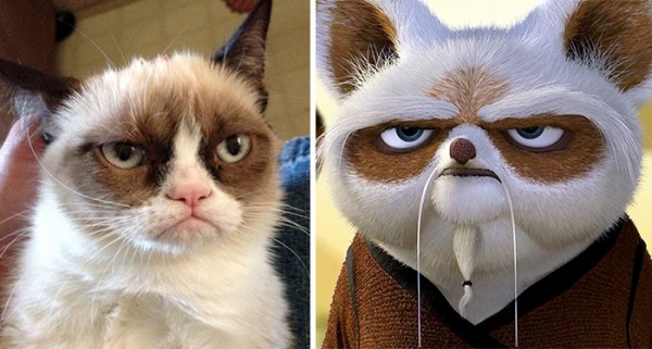 master shifu