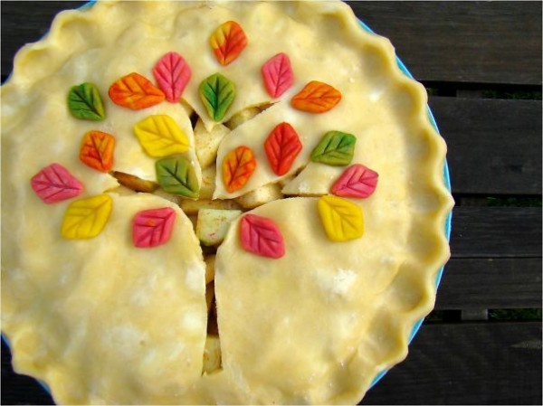 colorful tree pie