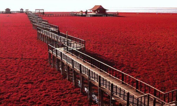 red beach 2