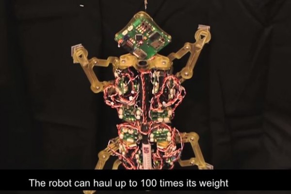 strong robot 2