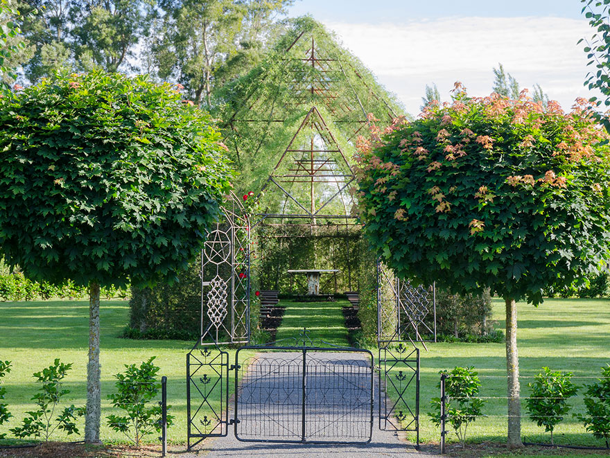 Man's Backyard Transformed Into A Beautiful Church Made From Plants ...