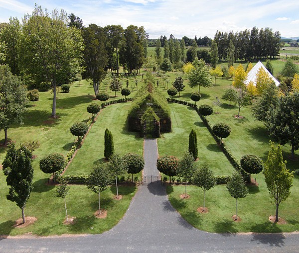 Man's Backyard Transformed Into A Beautiful Church Made From Plants ...