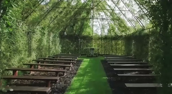 Man's Backyard Transformed Into A Beautiful Church Made From Plants ...