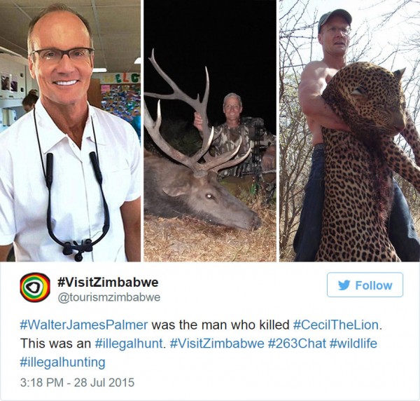 cecil the lion 5