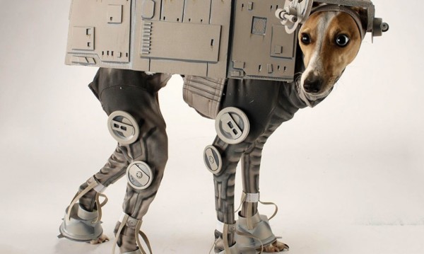 diy pet costumes 6