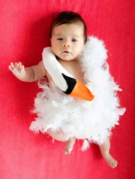 baby halloween costume 12