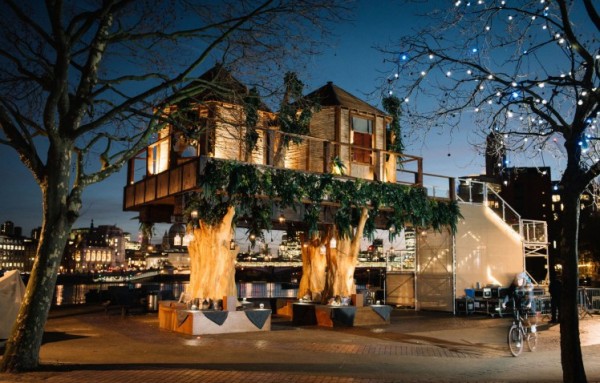 south african treehouse 2