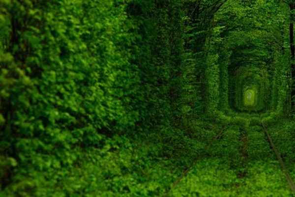 ukraine leafy tunnel 1