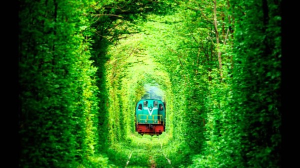 ukraine leafy tunnel 2