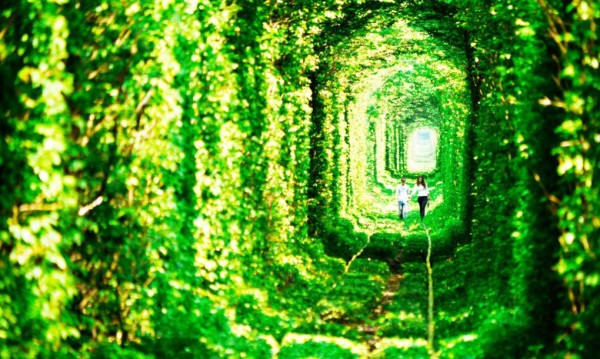 ukraine leafy tunnel 3