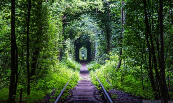 ukraine leafy tunnel 4