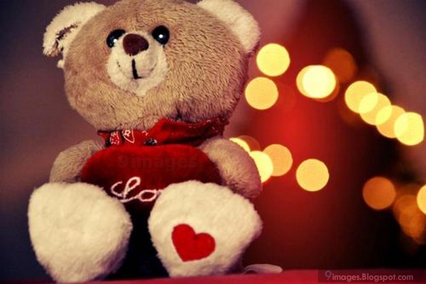 valentine's day teddy bear