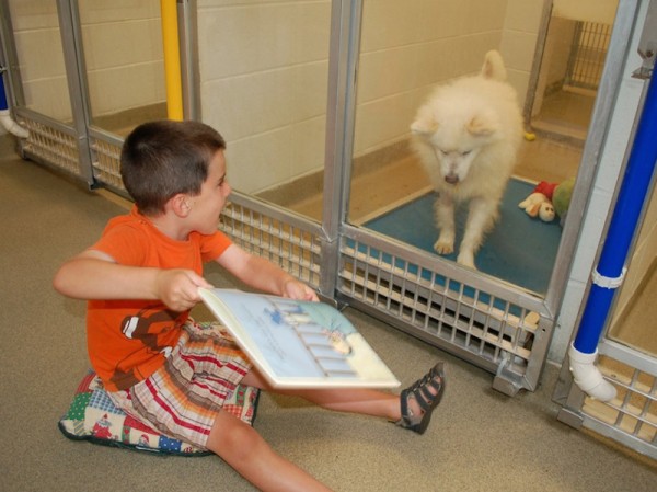 shelter buddies reading program 3