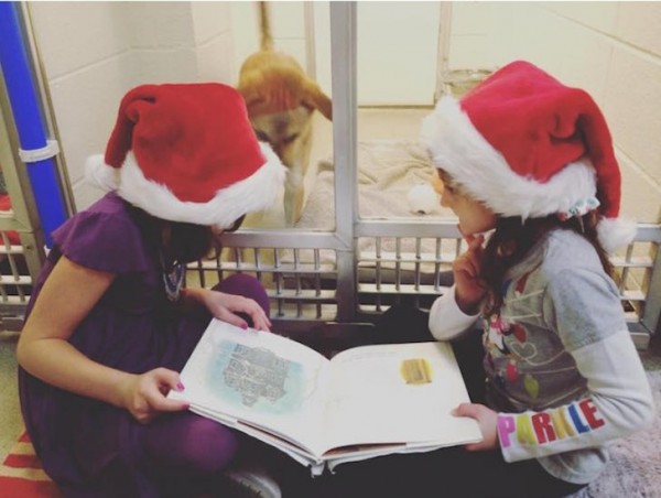 shelter buddies reading program 5