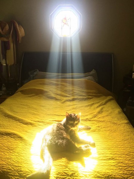 sun cat 3