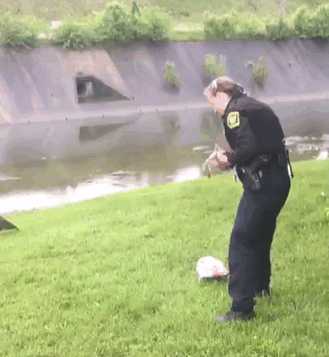 police helps goose 4